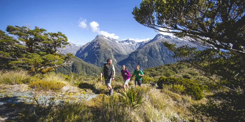 New Zealand Holidays, Short Breaks & Weekend Getaways | Relaxing Journeys
